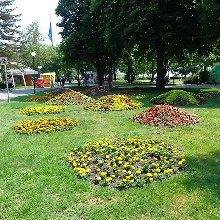 Апартаменти Alyosha *