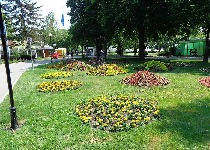 Апартаменти Alyosha *